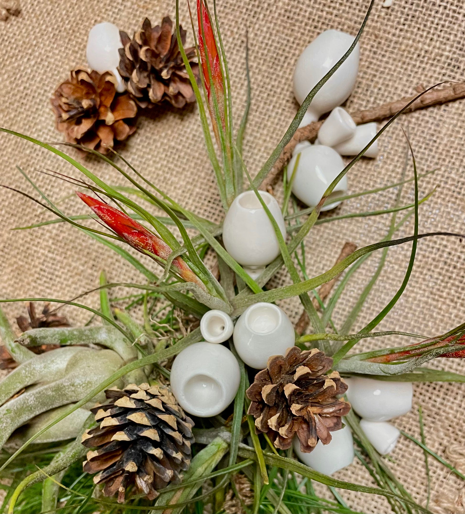 Mixed media arrangement combining gumnuts with glass beads, dried botanicals, pinecones, or ribbons, creating a unique and textured display that blends natural beauty with creative flair