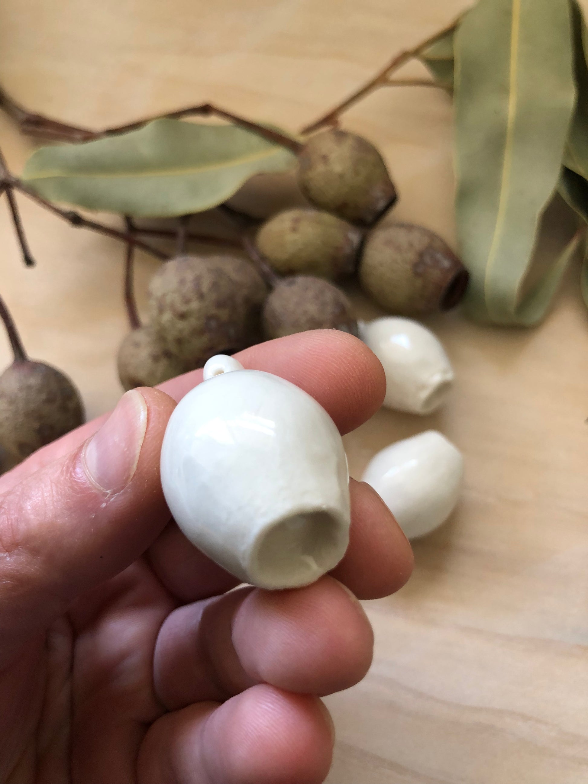 Hand holding a porcelain gumnut, demonstrating its size relative to the human hand, emphasising the natural charm and diversity of Australian eucalyptus fruits.